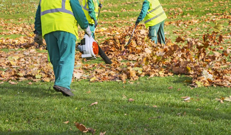 Leaf Pile Disposal