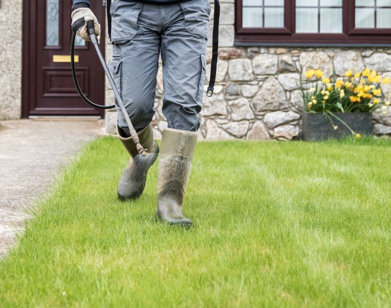 Complete Yard Makeover