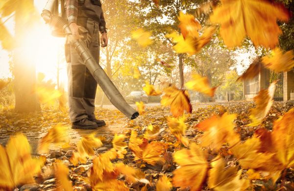 Leaf Blowing Service in Bryan