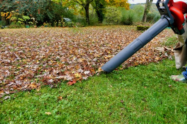 Leaf Vacuuming Service in Bryan