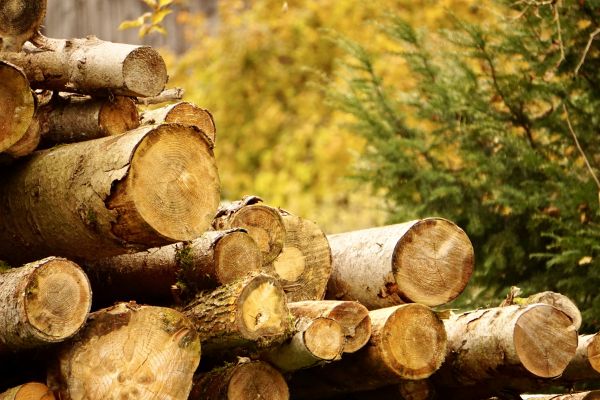 Wood Pile Removal in Bryan