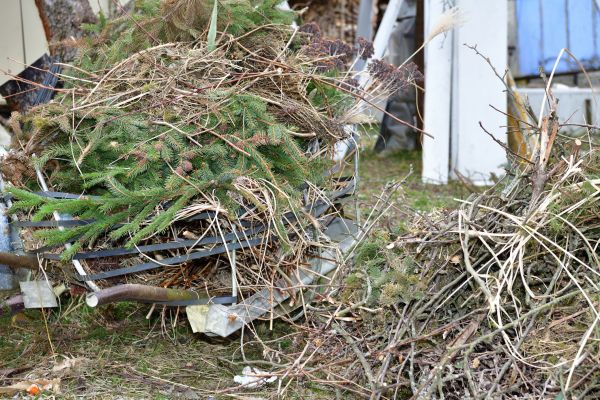 Yard Debris Removal in Bryan