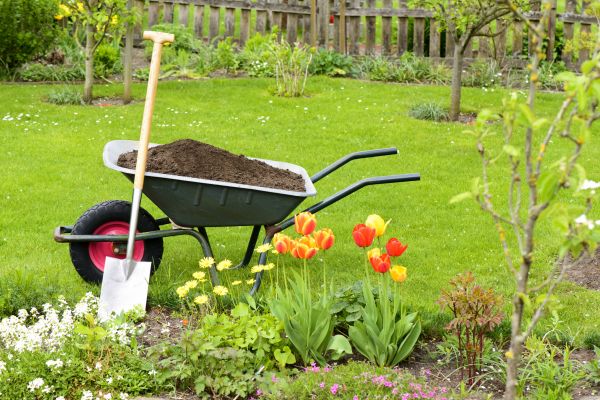 Cost of Spring Yard Cleanup in Bryan