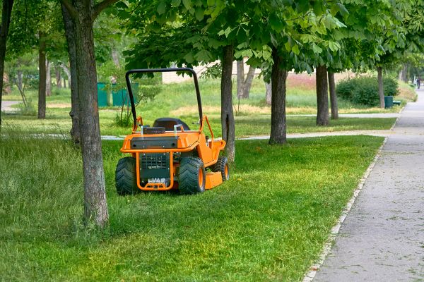 Landscaping Cleanup Service in Bryan