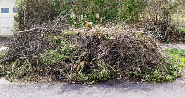 Tree Limb Cleanup in Bryan