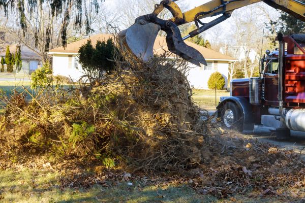 Storm Debris Removal in Bryan
