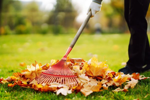 Cost of Ditch Leaf Removal in Bryan