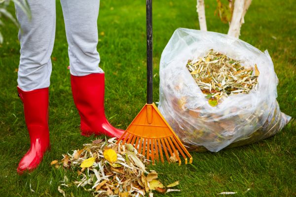 Cost of Leaf Disposal Service in Bryan