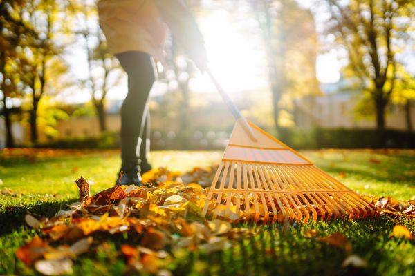 Leaves Raking in Bryan