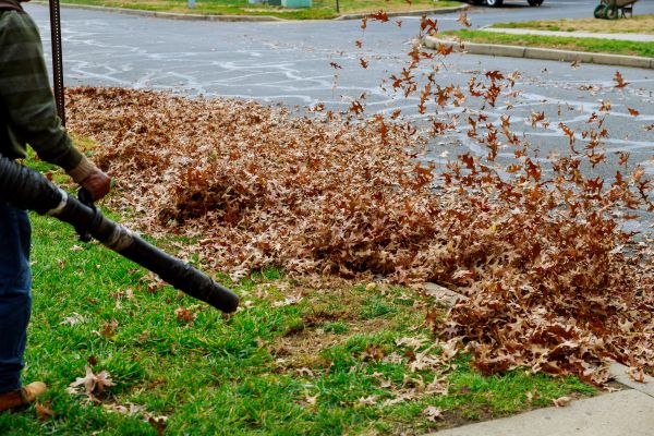 Cost of Garden Leaf Removal in Bryan