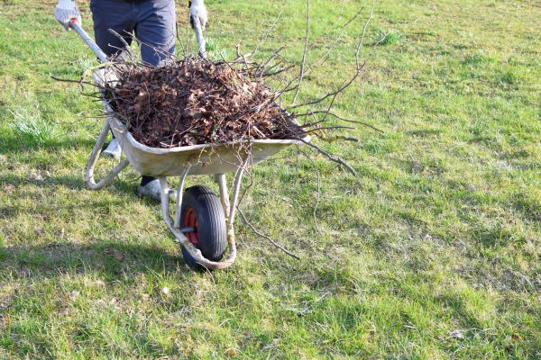 Yard Brush Removal in Bryan