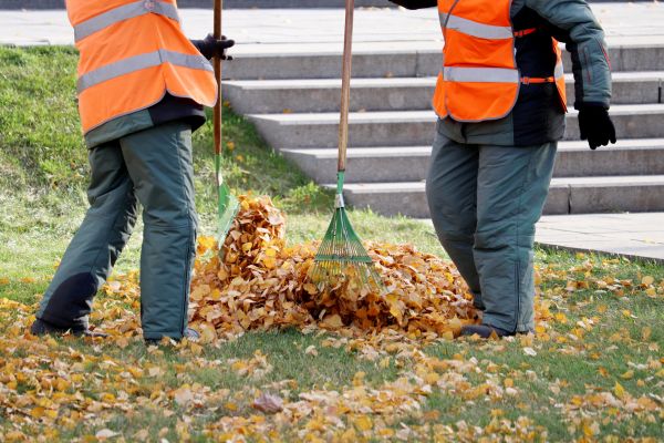 Cost of Leaf Hauling Service in Bryan
