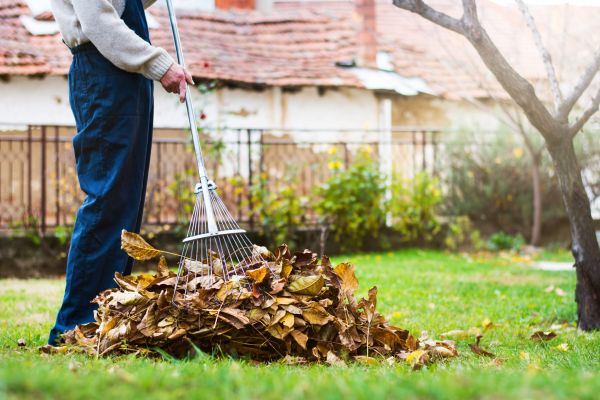 Spring Lawn Cleanup in Bryan