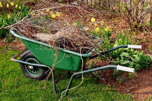 Lawn Waste Removal in Bryan