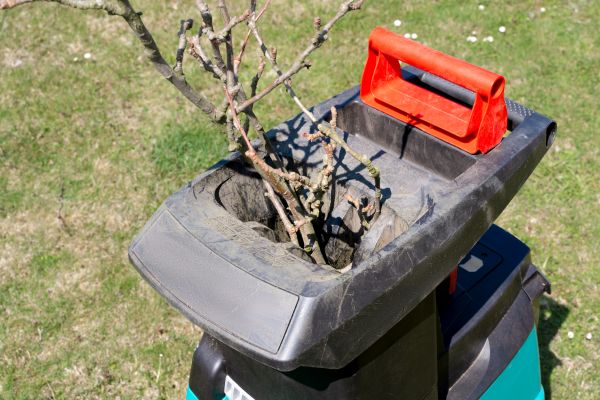 Cost of Brush Cleanup Service in Bryan