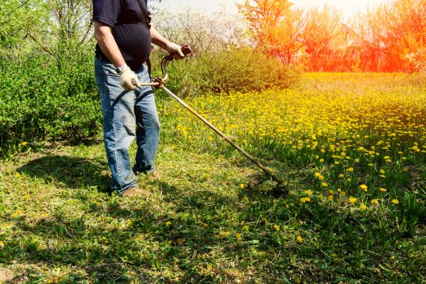 Yard Clearing Service in Bryan