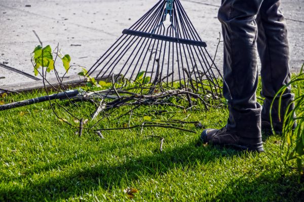 Yard Debris Cleanup in Bryan