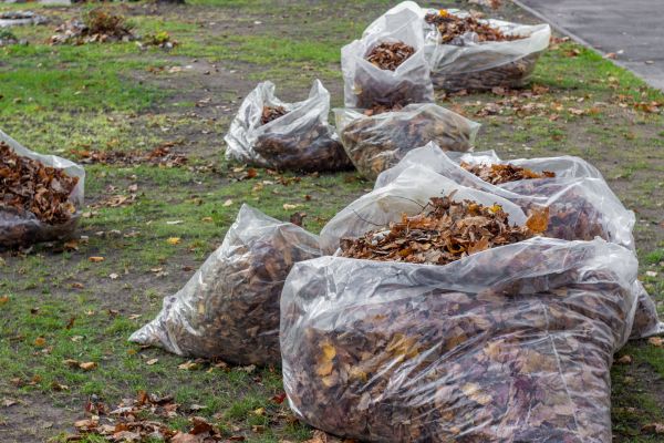 Cost of Leaf Pile Disposal in Bryan
