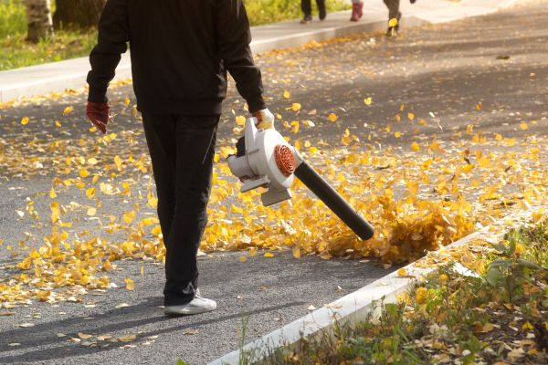 Commercial Leaf Removal in Bryan